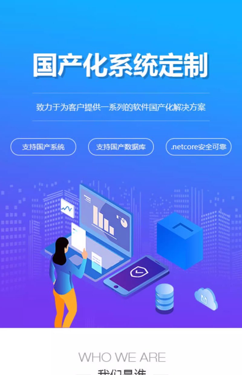 企业管理系统开发引领数字化转型新时代